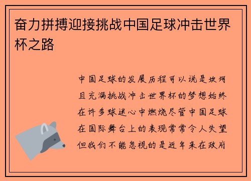 奋力拼搏迎接挑战中国足球冲击世界杯之路
